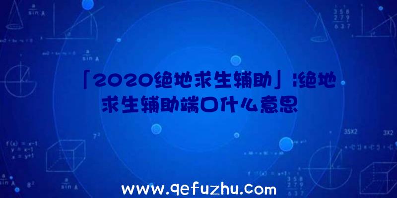 「2020绝地求生辅助」|绝地求生辅助端口什么意思